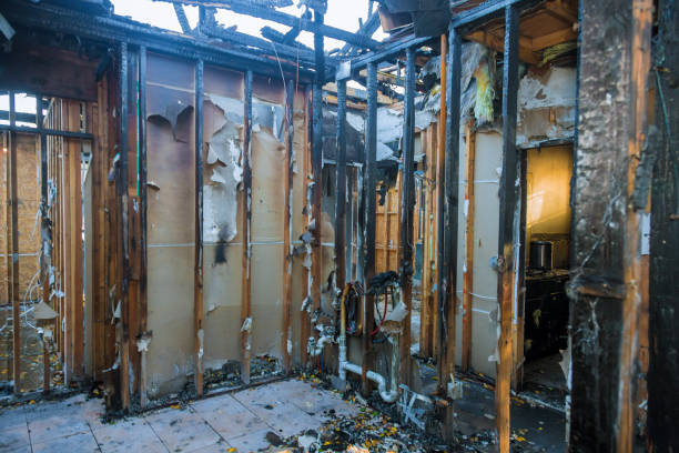Professional Fire Damage Repair technician working in Rosedale, MD